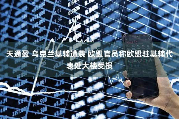 天通盈 乌克兰基辅遭袭 欧盟官员称欧盟驻基辅代表处大楼受损