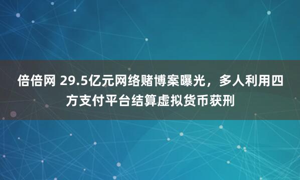 倍倍网 29.5亿元网络赌博案曝光，多人利用四方支付平台结算虚拟货币获刑